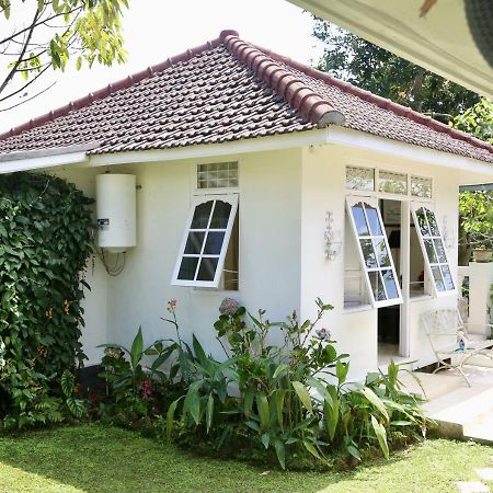 Pondok Plantation Luxury Mountain Escape Bedugul เบอดูกูล ภายนอก รูปภาพ