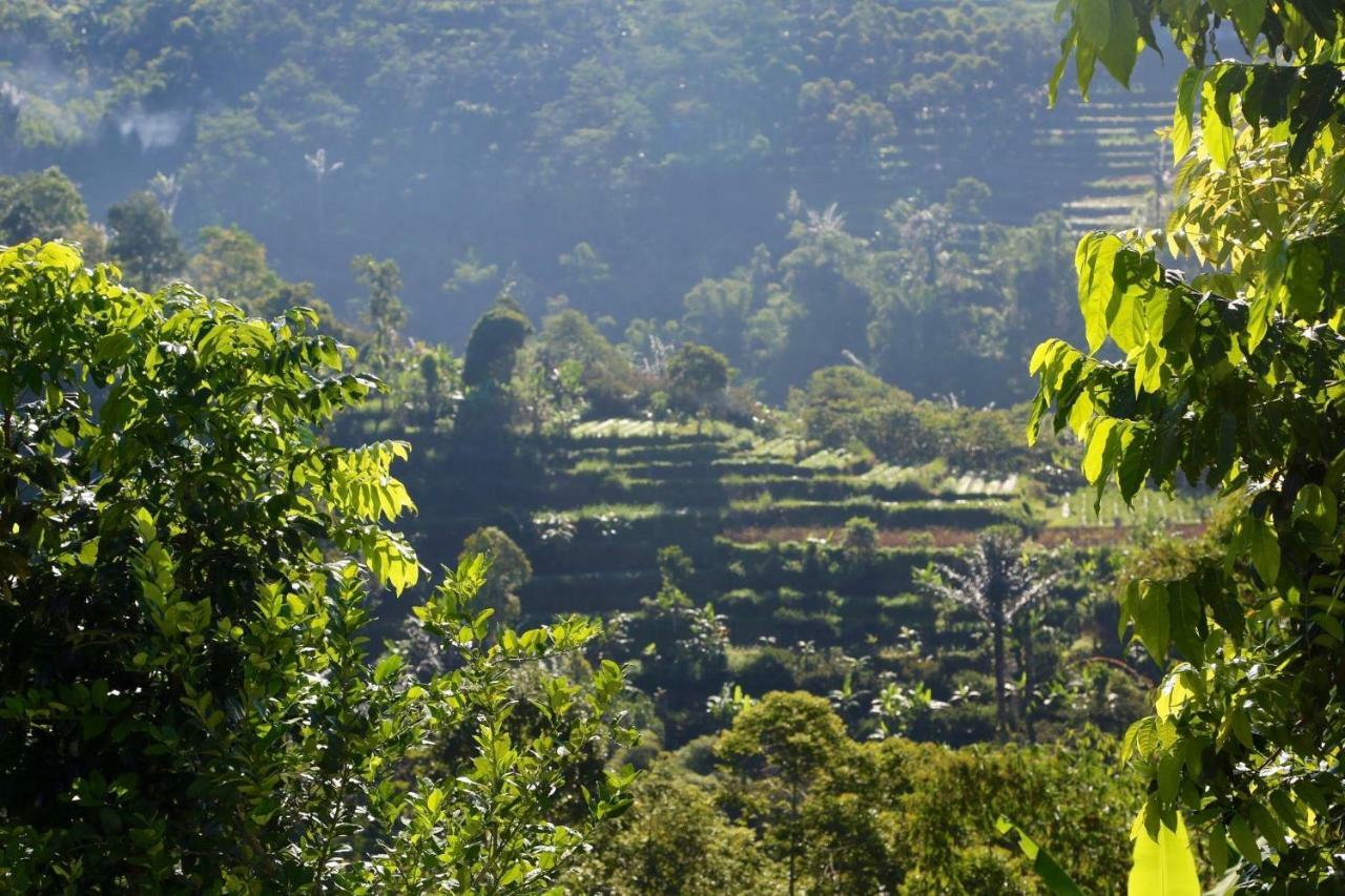 Pondok Plantation Luxury Mountain Escape Bedugul เบอดูกูล ภายนอก รูปภาพ