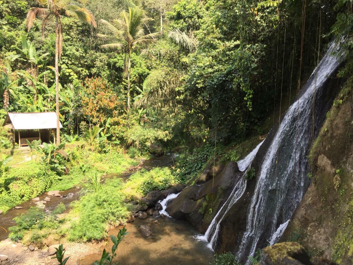 Pondok Plantation Luxury Mountain Escape Bedugul เบอดูกูล ภายนอก รูปภาพ