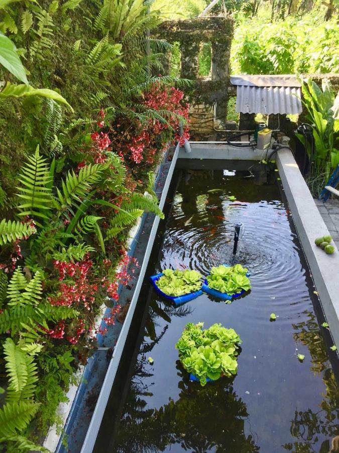 Pondok Plantation Luxury Mountain Escape Bedugul เบอดูกูล ภายนอก รูปภาพ