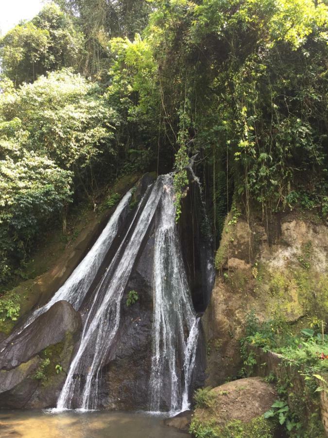 Pondok Plantation Luxury Mountain Escape Bedugul เบอดูกูล ภายนอก รูปภาพ