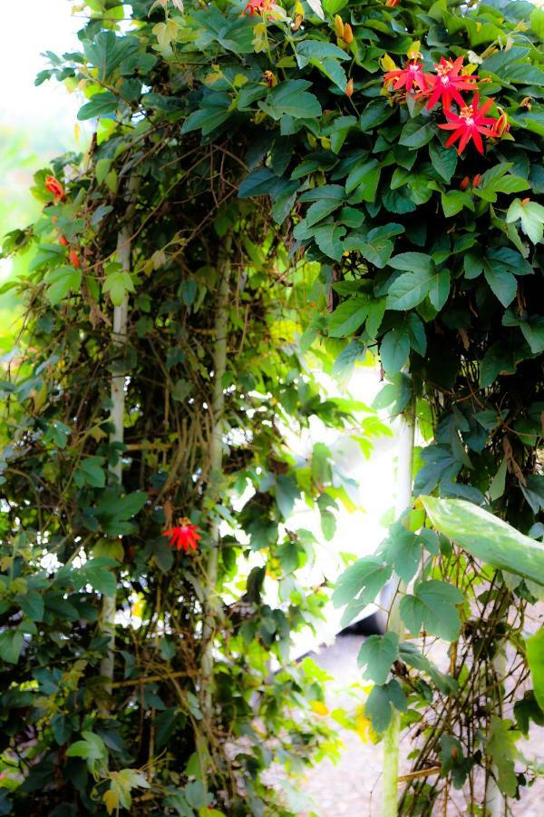 Pondok Plantation Luxury Mountain Escape Bedugul เบอดูกูล ภายนอก รูปภาพ