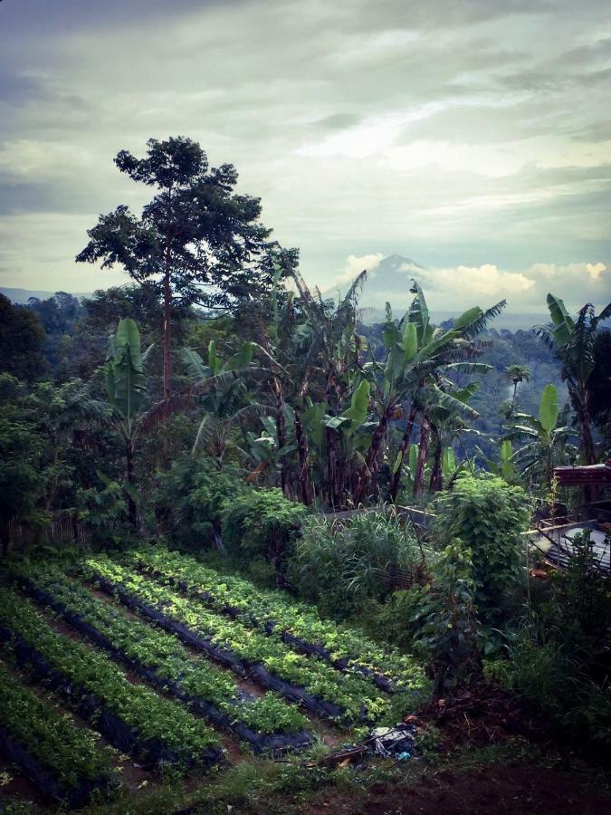 Pondok Plantation Luxury Mountain Escape Bedugul เบอดูกูล ภายนอก รูปภาพ